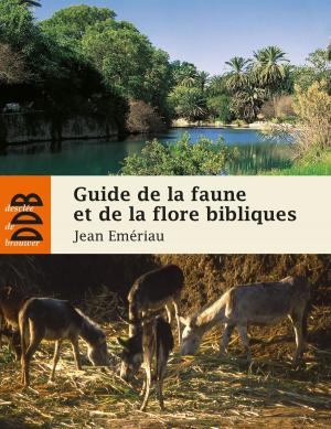 Cover of the book Guide de la faune et la flore bibliques by Odon Vallet
