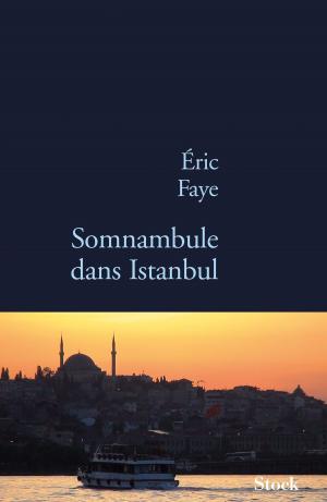 Book cover of Somnambule dans Istanbul