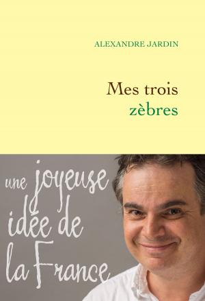 Cover of the book Mes trois zèbres by Dominique Fernandez de l'Académie Française