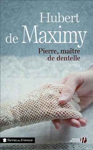 Cover of the book Pierre, maître de dentelle by Garth RISK HALLBERG