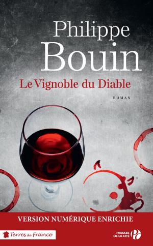 Book cover of Le vignoble du Diable