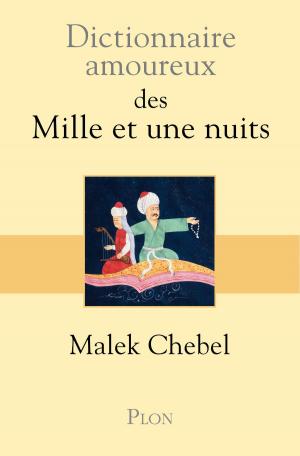 Cover of the book Dictionnaire amoureux des Mille et une nuits by Elise FISCHER