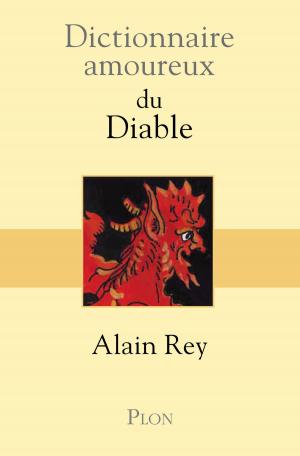 Book cover of Dictionnaire amoureux du Diable