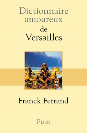 Book cover of Dictionnaire amoureux de Versailles