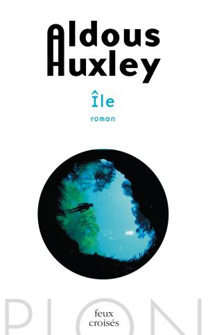 Cover of the book Île by Cathy KELLY