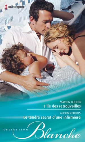 Cover of the book L'île des retrouvailles - Le tendre secret d'une infirmière by Agathe Colombier Hochberg