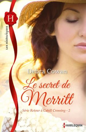 Cover of the book Le secret de Merritt by Virginia Vaughan