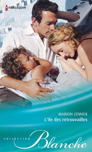 Cover of the book L'ïle des retrouvailles by Kylie Brant