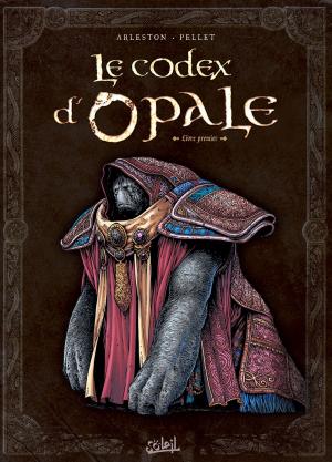 bigCover of the book Codex d'Opale T01 by 