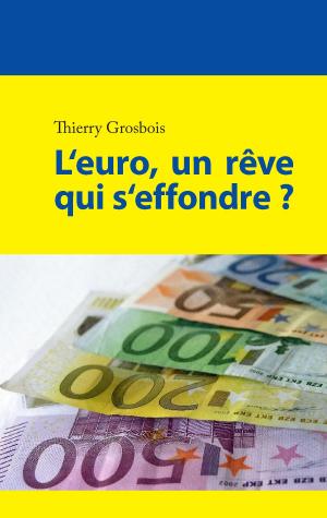 Book cover of L'euro, un rêve qui s'effondre ?