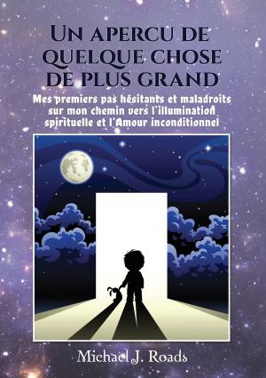 Cover of the book Un aperçu de quelque chose de plus grand by Harald Mizerovsky