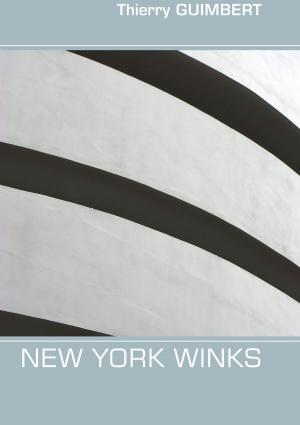 Cover of the book New York winks by Åke Hedberg