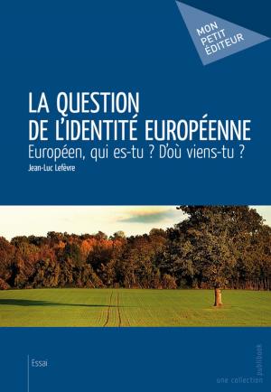 Cover of the book La Question de l'identité européenne by Julie Robidoux