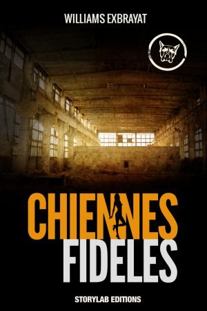 Cover of the book Chiennes fidèles by David Foenkinos