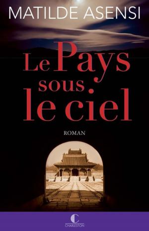 Cover of the book Le Pays sous le ciel by Sophie Carquain