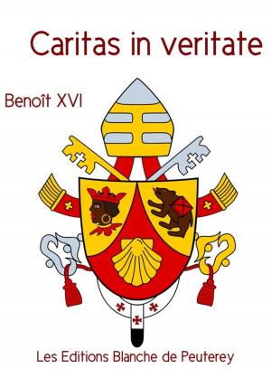 Cover of the book Caritas in veritate by Frédéric Ozanam