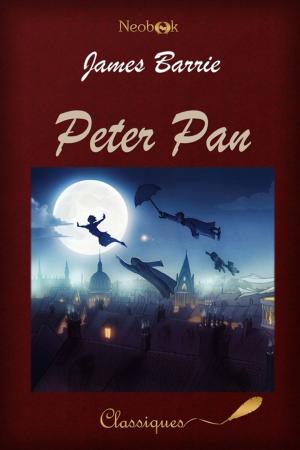 Cover of the book Peter Pan by Rudolf Erich Raspe