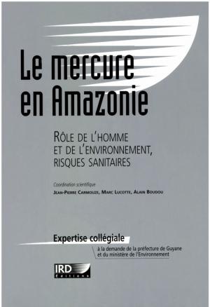 Cover of the book Le mercure en Amazonie by Céline Vacchiani-Marcuzzo, Frédéric Giraut