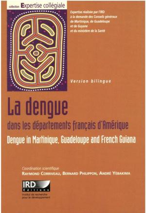 Cover of the book La dengue dans les départements français d'Amérique by Hervé Rakoto Ramiarantsoa, Chantal Blanc-Pamard