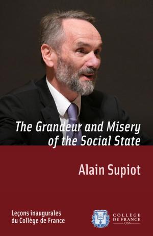 Cover of the book The Grandeur and Misery of the Social State by Frantz Grenet