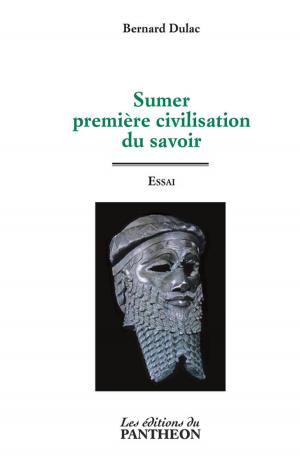 Cover of the book Sumer, première civilisation du savoir by Philippe Pauthonier