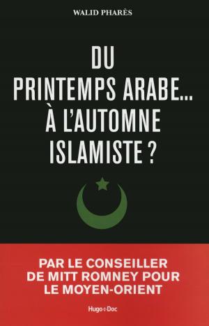 Cover of the book Du printemps arabes à l'automne islamiste by Mia Sheridan