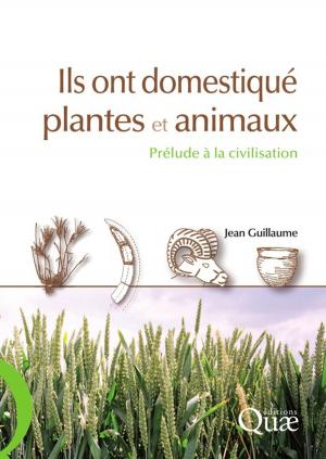 Cover of the book Ils ont domestiqué plantes et animaux by Jean Boiffin, Bernard Coudurier, Christian Huyghe, François Jeuland, Jean Louis Peyraud, Hervé Guyomard, Nicolas Urruty
