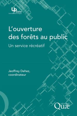Cover of the book L'ouverture des forêts au public by Bruno Mary, Nicolas Beaudoin, Nadine Brisson, Marie Launay