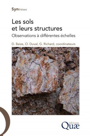 Book cover of Les sols et leurs structures