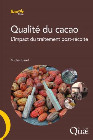 Cover of the book Qualité du cacao by Antoine Gama