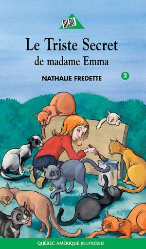 Cover of the book Camille 02 by Dominique Bertrand