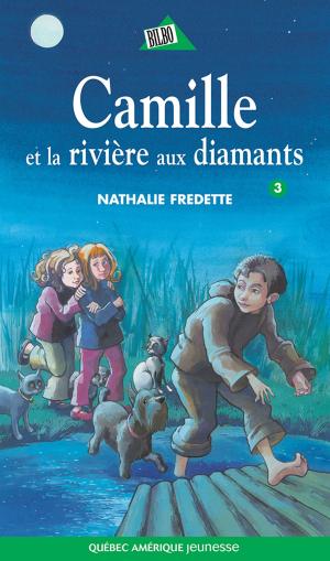 Cover of the book Camille 03 by Alain M. Bergeron