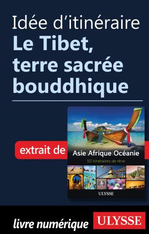 Book cover of Idée d'itinéraire - Le Tibet, terre sacrée bouddhique