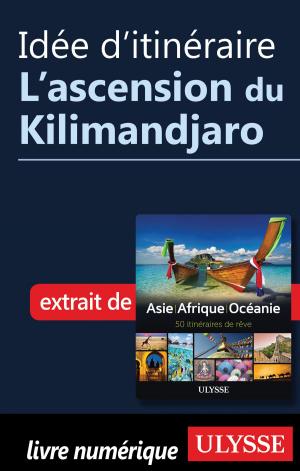 Cover of the book Idée d'itinéraire - L'ascension du Kilimandjaro by Luc Giard