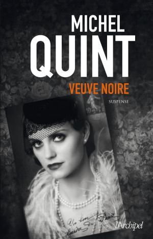 Cover of the book Veuve noire by Gerald Messadié