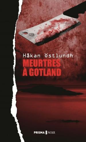 Cover of the book Meurtres à Gotland by Irene Chauvy