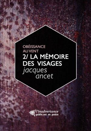 Cover of the book La mémoire des visages by V. P. Guaglione
