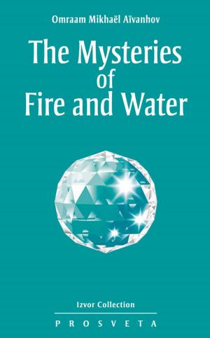 bigCover of the book The Mysteries of Fire and Water by 