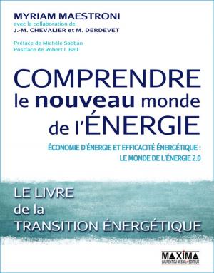 Cover of the book Comprendre le nouveau monde de l'énergie by Annie Lecomte-Monnier