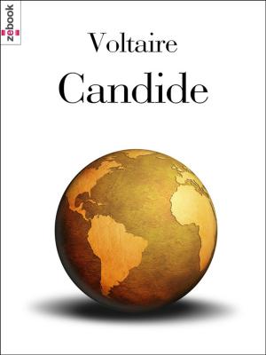 Cover of the book Candide by Randy Sultzer