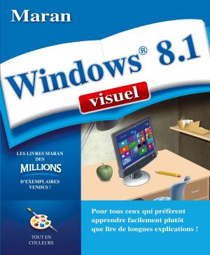 Cover of the book Windows 8.1 visuel by Jérôme Lesage