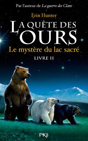 Cover of the book La quête des ours tome 2 by Anders de LA MOTTE
