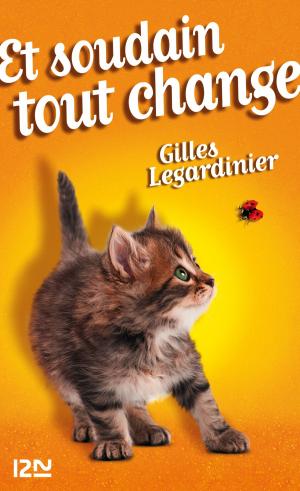 Cover of the book Et soudain tout change by Franck THILLIEZ