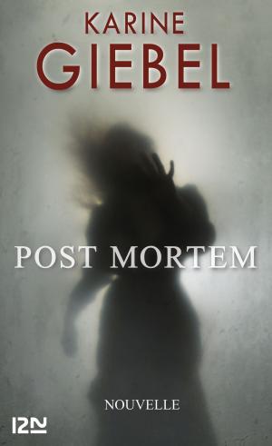 Cover of the book Post mortem by Sylvie BOURGEOIS