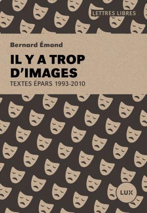 bigCover of the book Il y a trop d'images by 