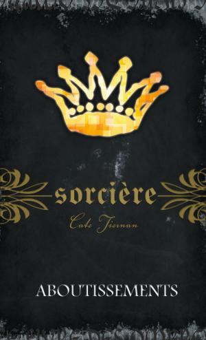 Cover of the book Sorcière by Sylvain Reynard