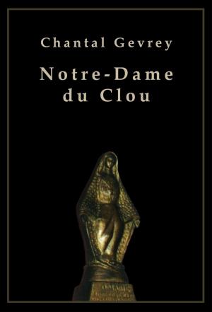 Book cover of Notre-Dame du Clou