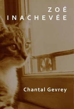 Cover of the book Zoé inachevée by Lucy Blake