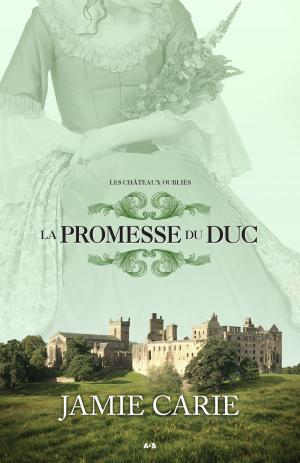 Book cover of La promesse du Duc