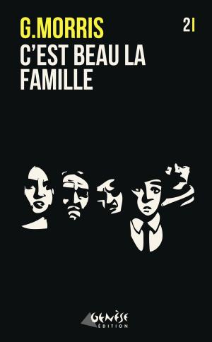 Cover of the book C'est beau la famille by Penny Tawret